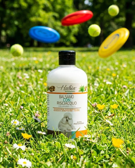 Ausspülbarer Conditioner mit Argan- und Kokosöl 500 ml